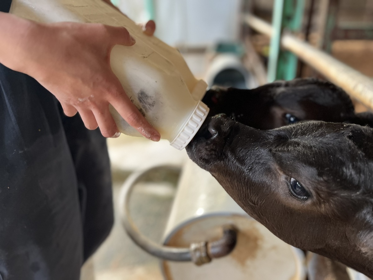 ジェイイーティ (JET) ファーム